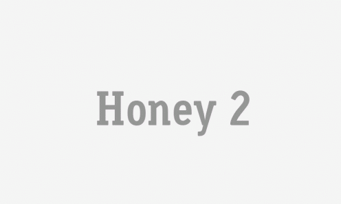 Honey 2